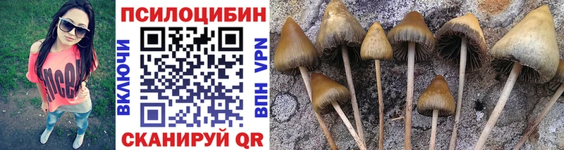 Купить закладки  Фокино  Галлюциногенные грибы прущие грибы 